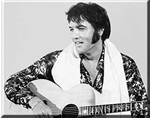 Elvis Scarves